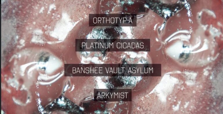 Experimental Night ft. Orthotyp-a, Platinum Cicadas, Banshee Vault Asylum and Arkymust (FREE but donations encouraged)