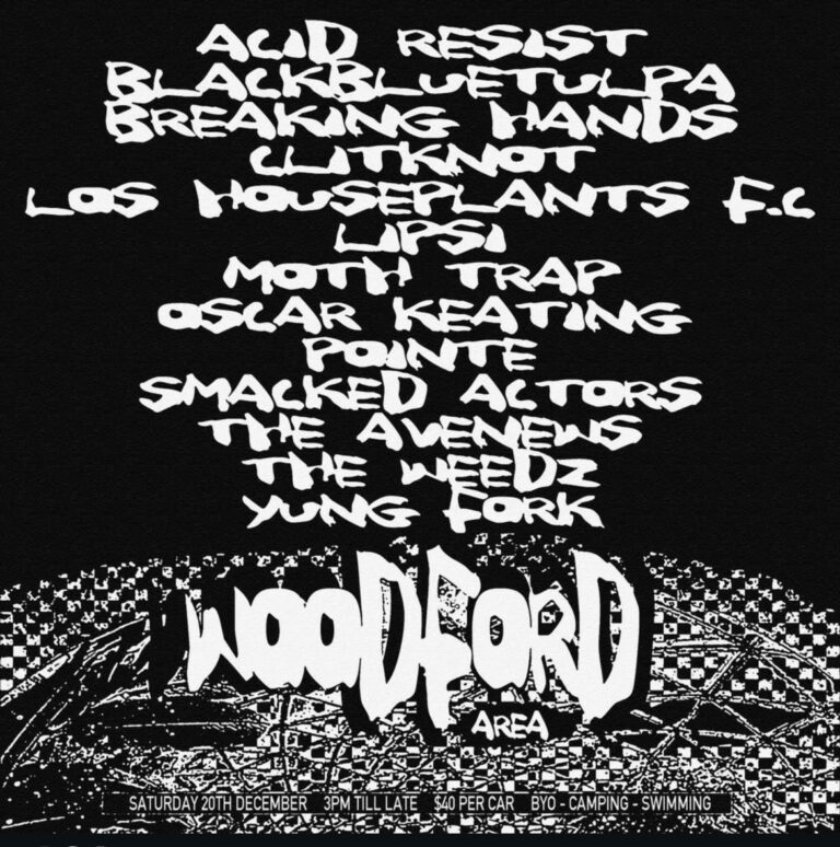 run amok presents: acid resist + blackbluetulpa + breaking hands + clitknot + los houseplants f.c + lipsi + moth trap + oscar keating + pointe + smacked actors + the avenews + the weeds + yung fork
