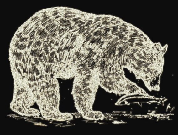 Black Bear Lodge