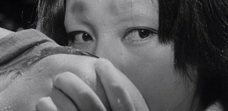 羅生門 (Rashomon) 1950 M (FREE)