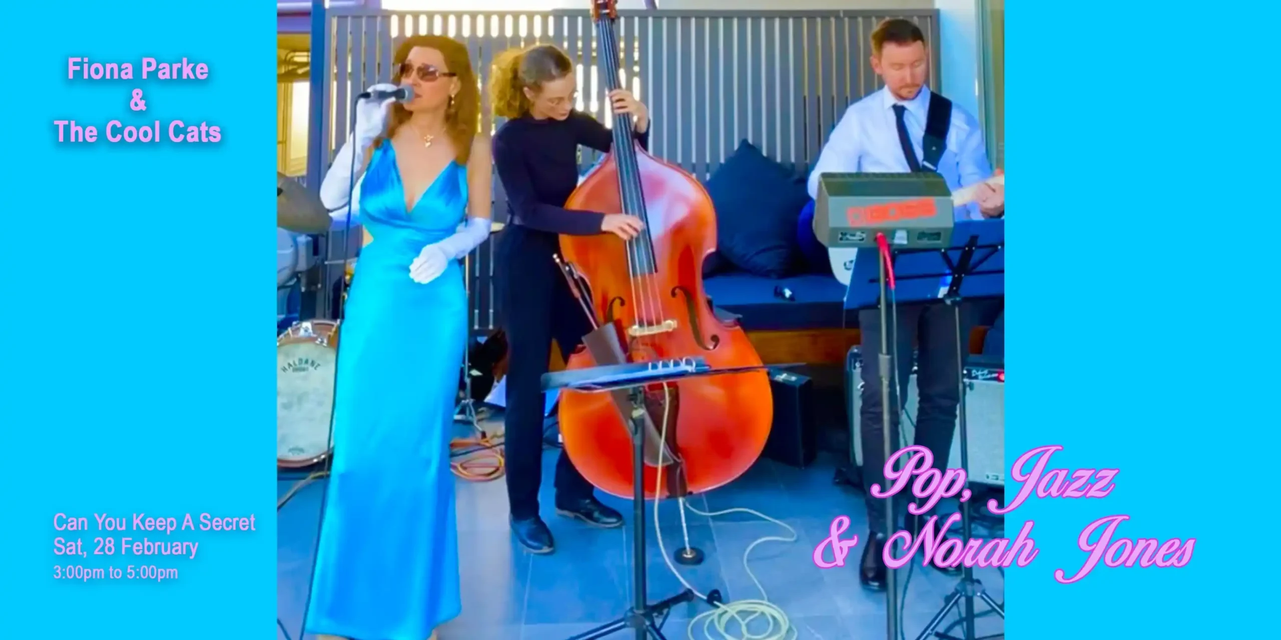 FIONA PARKE & THE COOL CATS - POP, JAZZ & NORAH JONES