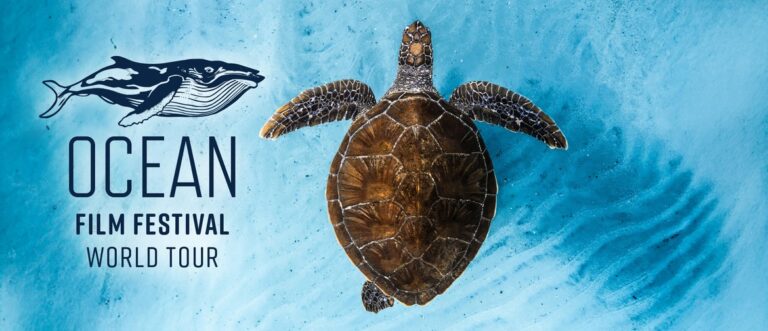 Ocean Film Festival World Tour 2026 (SOLD OUT)