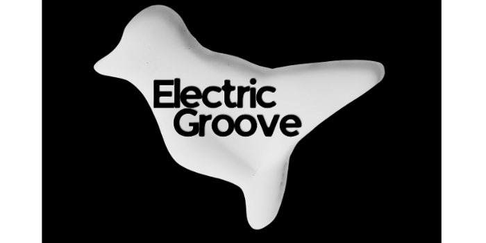 Electric Groove Vol.4