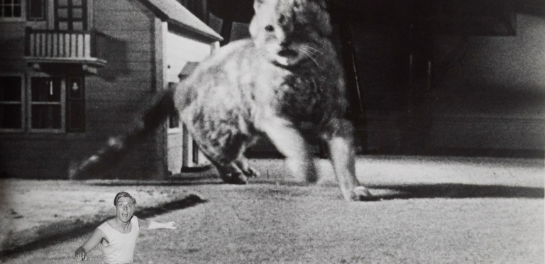 The Incredible Shrinking Man 1957 G (81 mins)