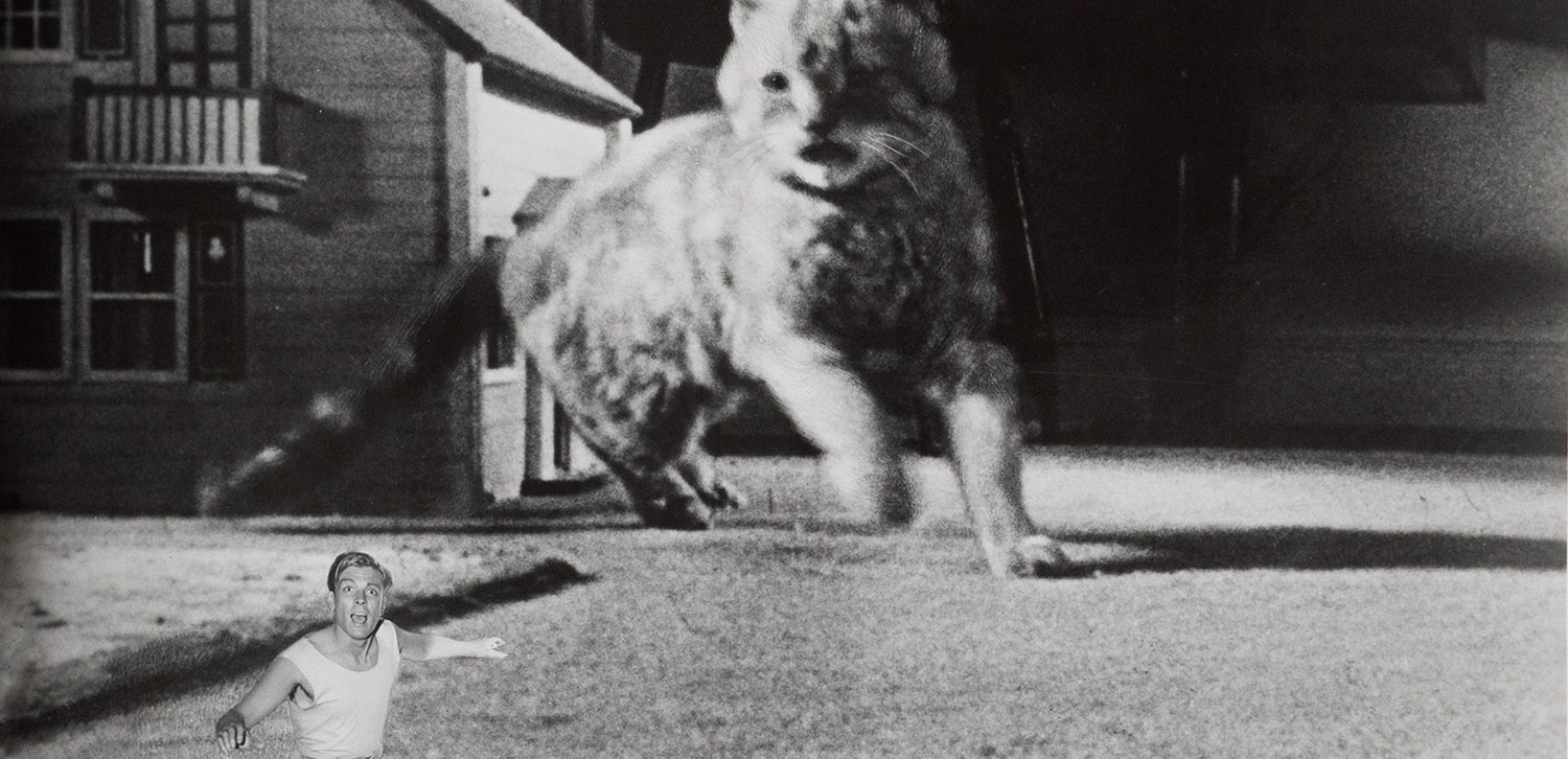 The Incredible Shrinking Man 1957 G (81 mins)