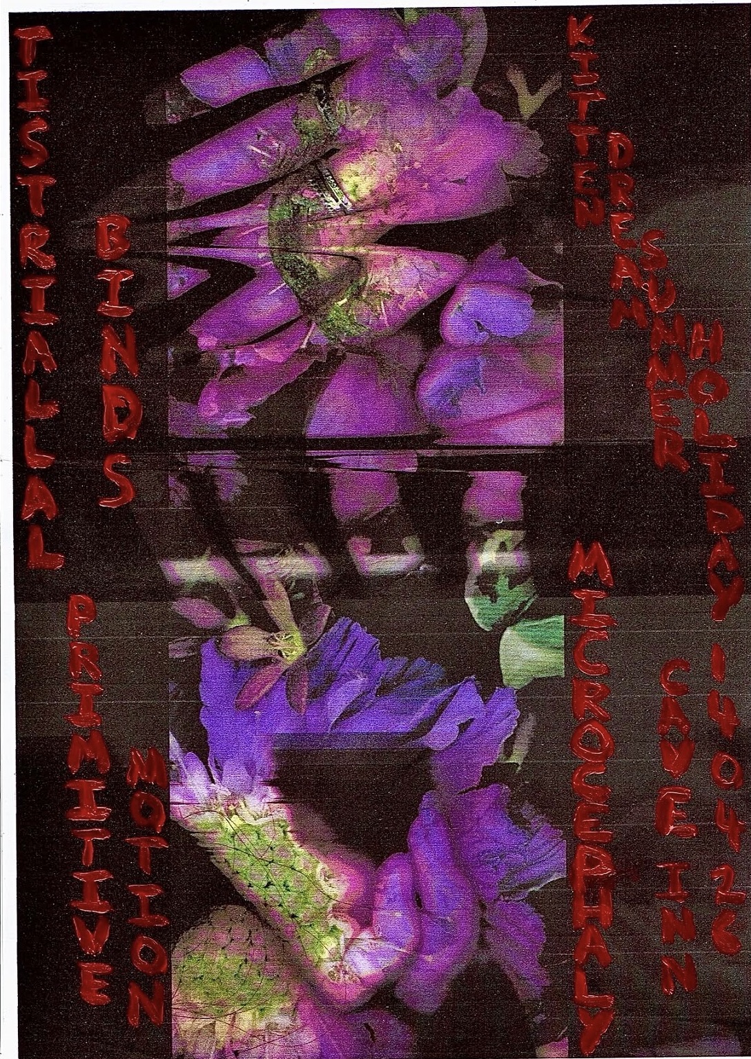 Tistriallal Binds, Primitive Motion, Kitten Dream Summer Holiday and Microcephaly (FREE ENTRY)