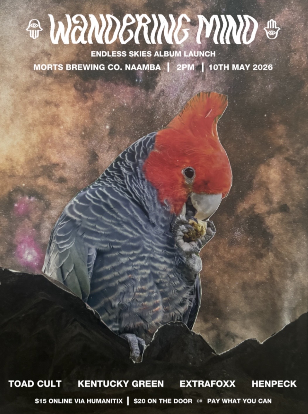 Wandering Mind Endless Skies Album Launch with support from Toad Cult, Kentucky Green, Extrafoxx and Henpeck