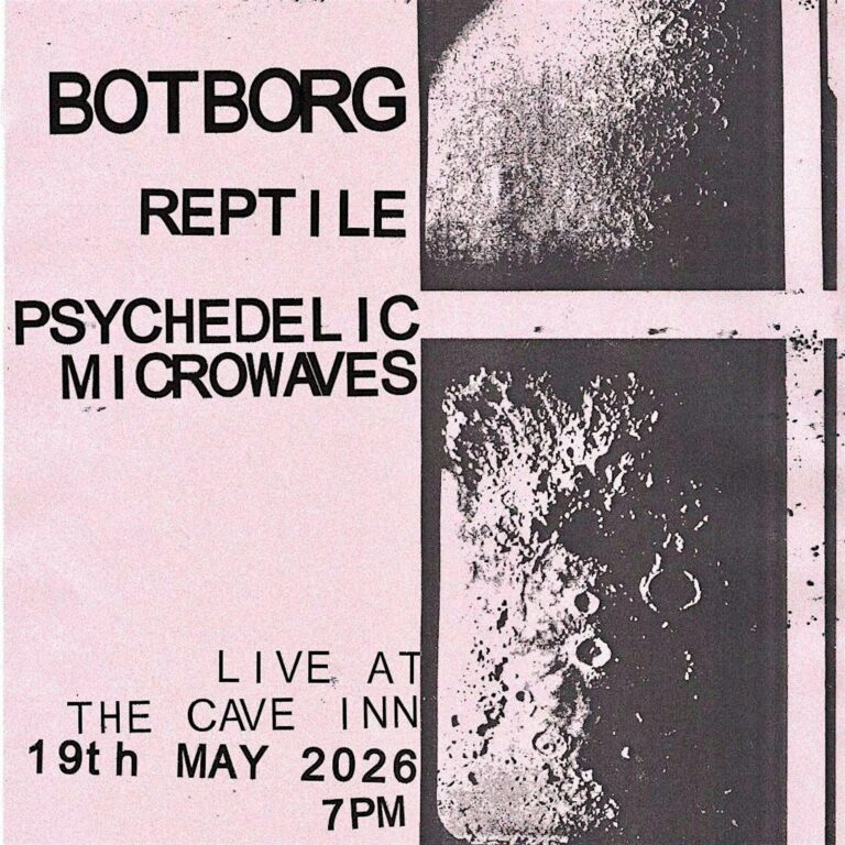 cave inn experimental night ft. botborg + reptile + psychedelic microwaves (free entry)