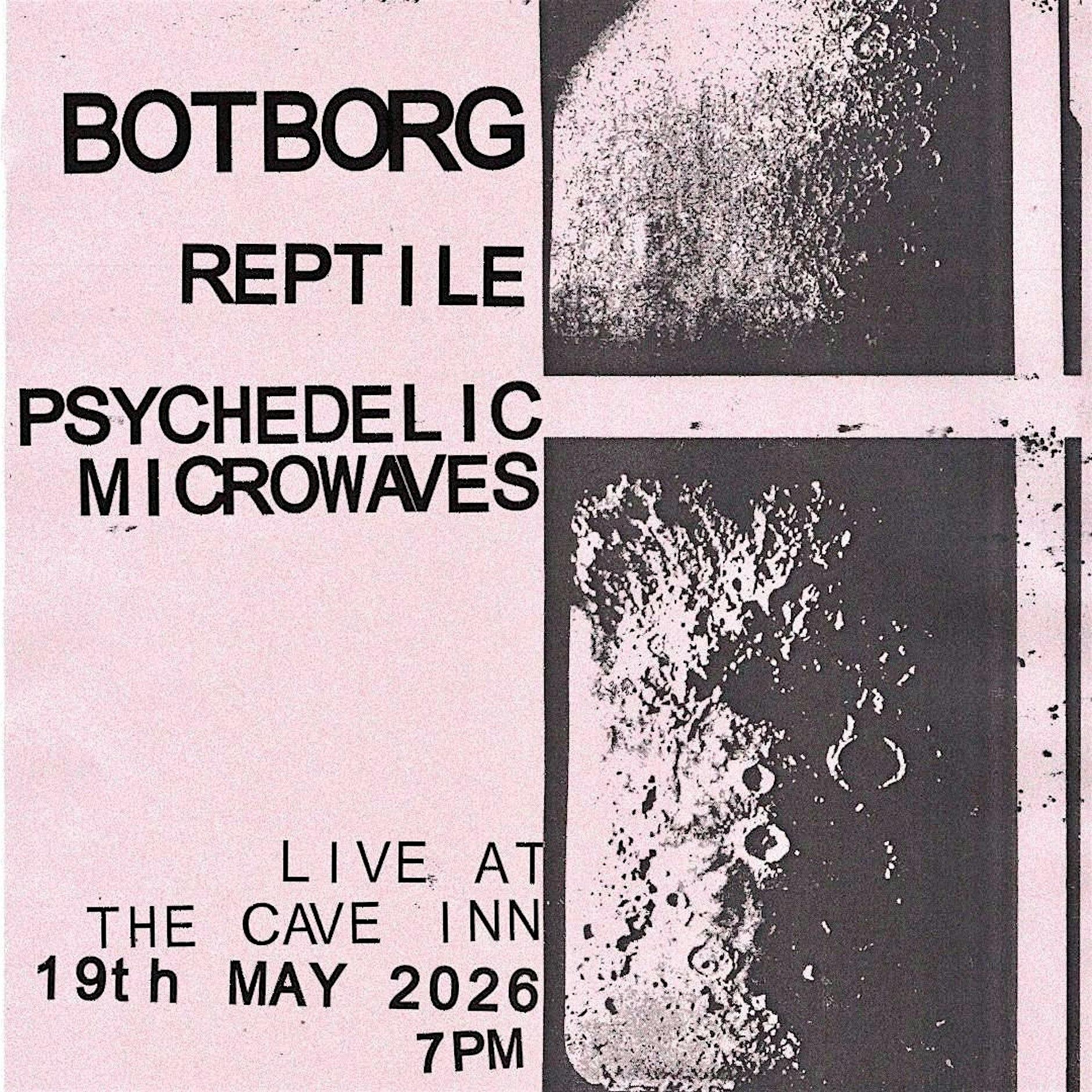 cave inn experimental night ft. botborg + reptile + psychedelic microwaves (free entry)