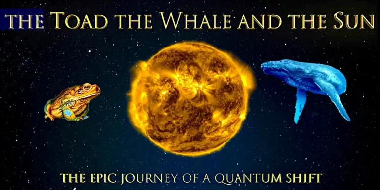 Screening "The Toad the Whale and the Sun" and Dinner