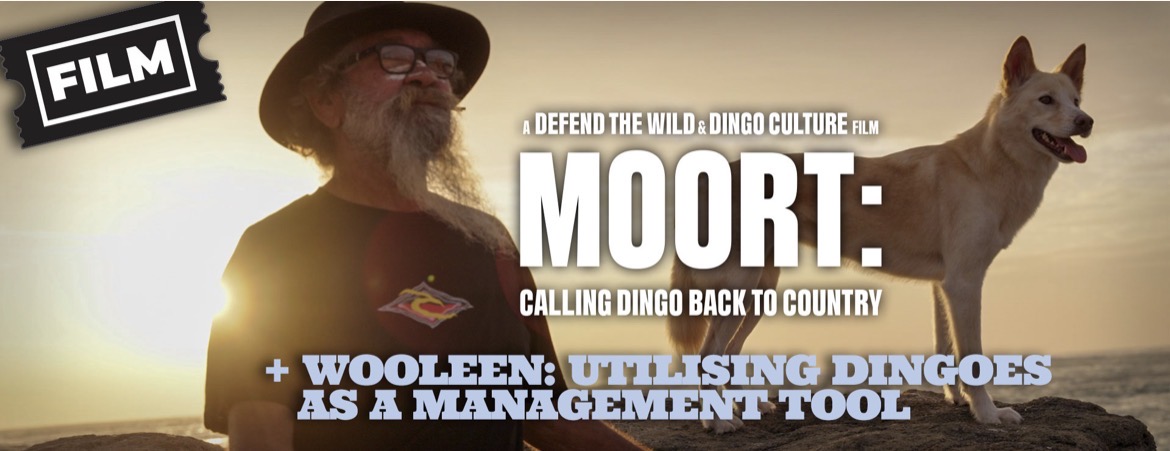 Moort: Calling Dingo Back to Country + Wooleen: Utilising Dingoes as a Management Tool