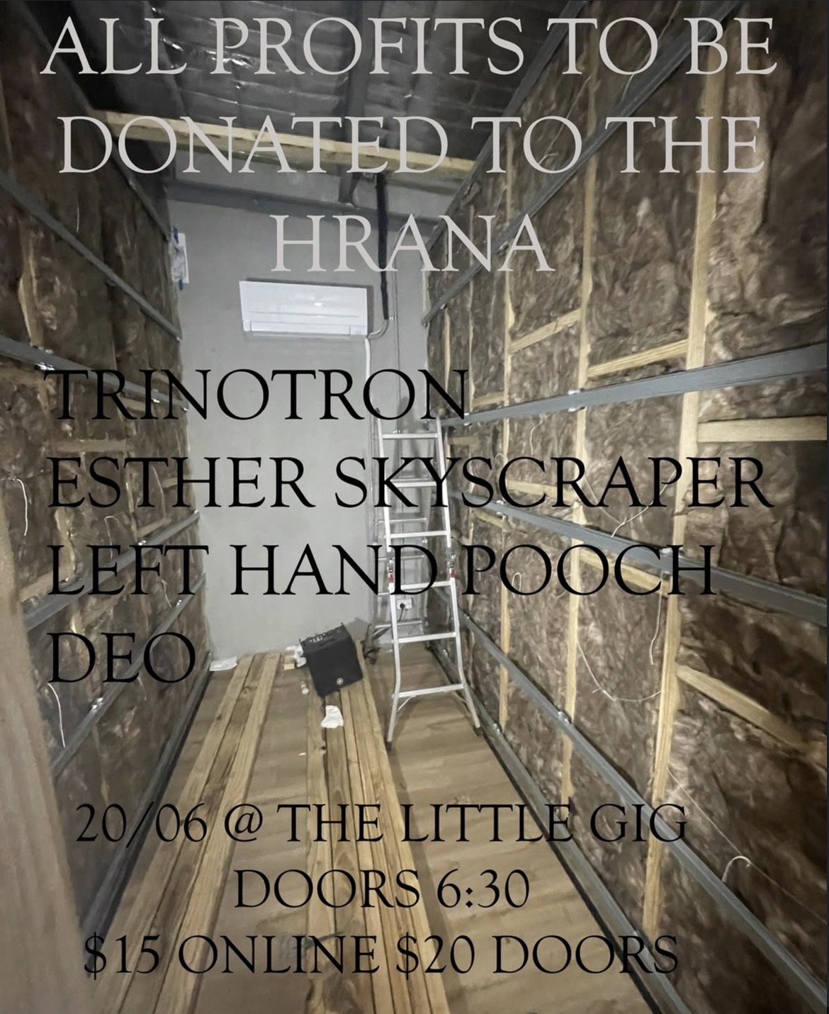 Experimental for Iran: Trinotron + Esther Skyscraper + Left Hand Pooch + Deo