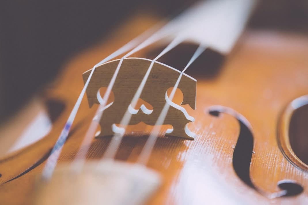 Strings In The House (FREE ENTRY)
