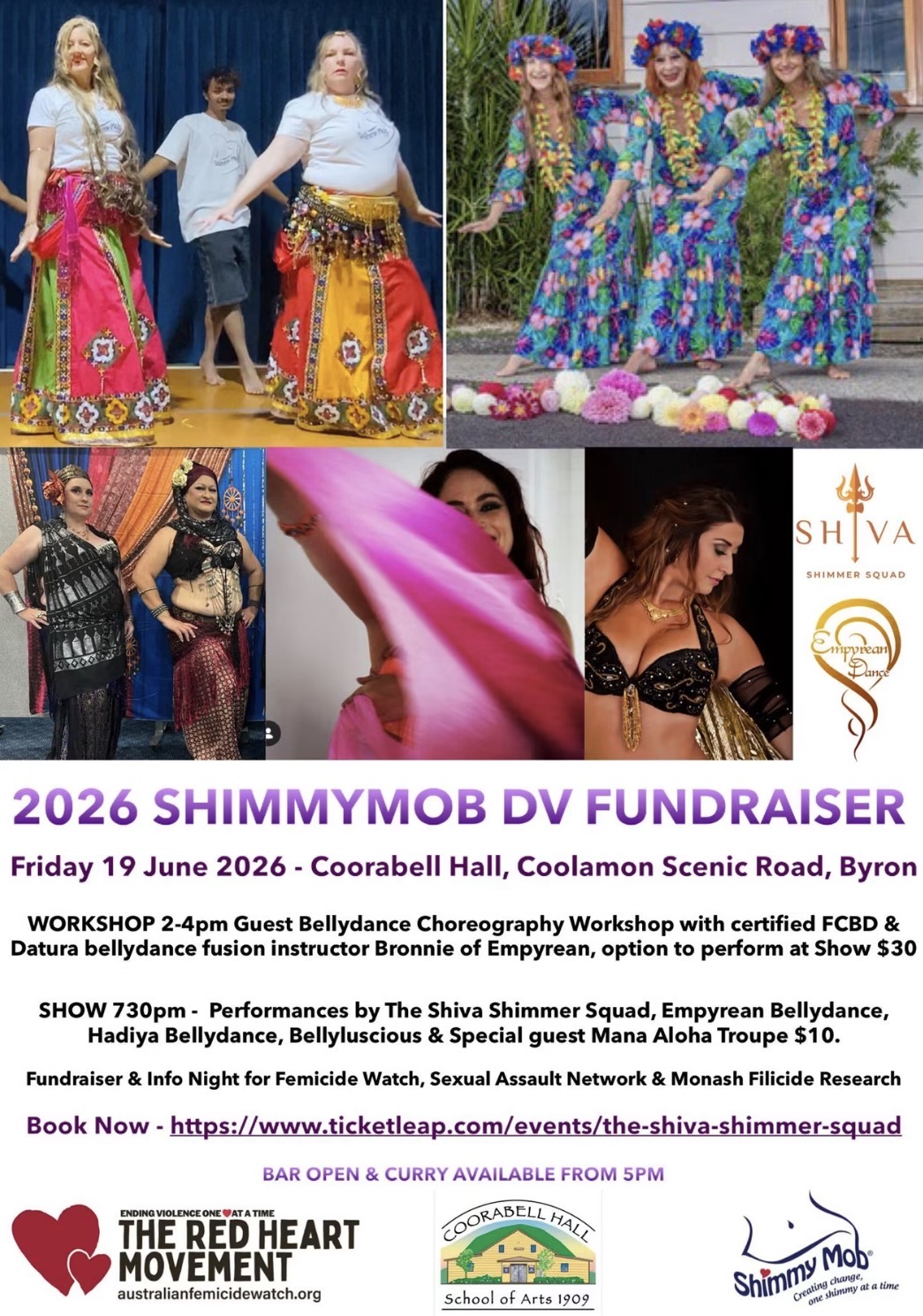 2026 Shimmy Mob Fundraiser