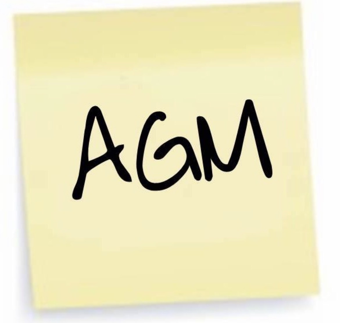 The Sunshine Coast Arts Industry Precinct Inc.  (S.C.A.I.P Inc.), trading as The Old Ambulance Station AGM (FREE ENTRY)