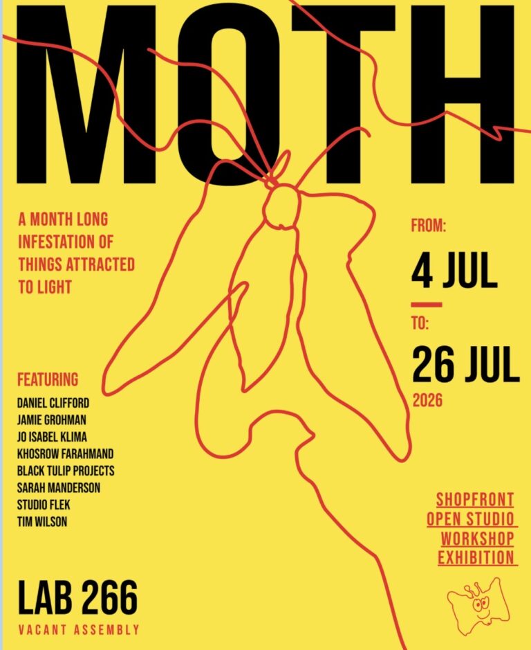 Moth: An Artist led Community Conversation - Translation of Practice