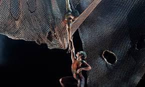 Bangarra Dance Theatre presents: Sheltering