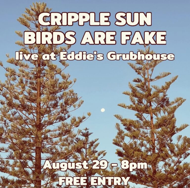 Cripple Sun and Birds are Fake (Free)