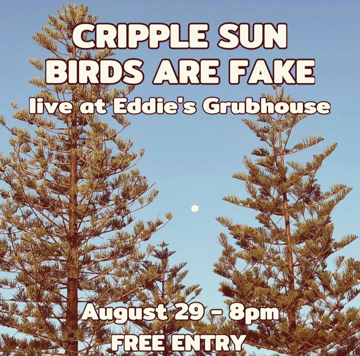 Cripple Sun and Birds are Fake (Free)